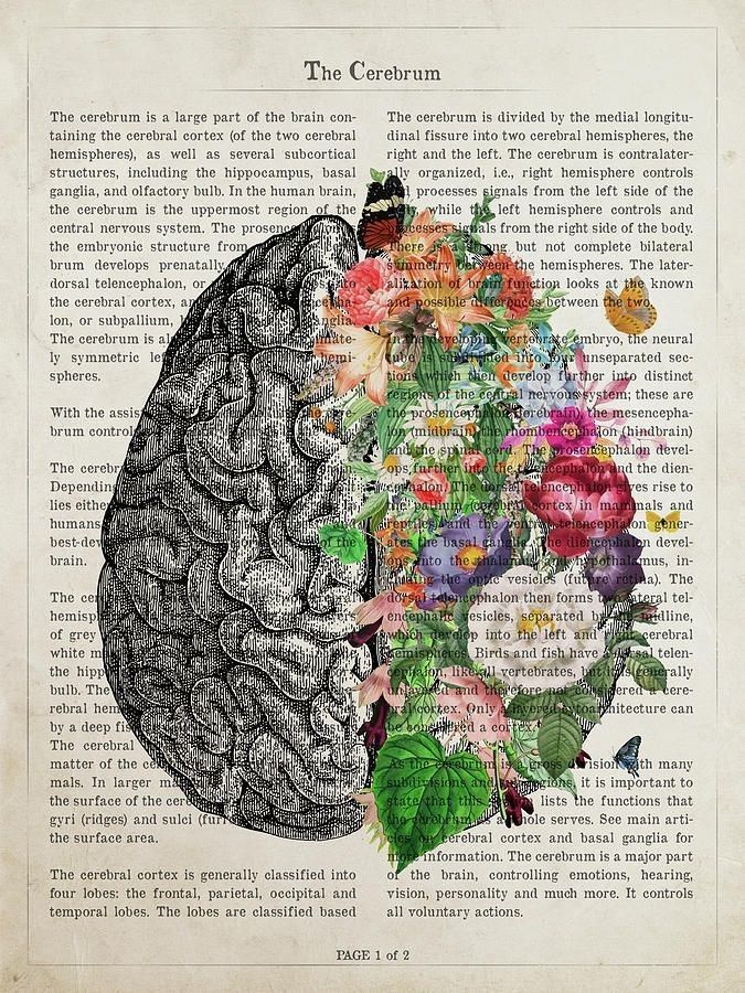 Gut Meets Mind