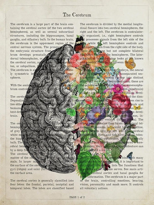 Gut Meets Mind